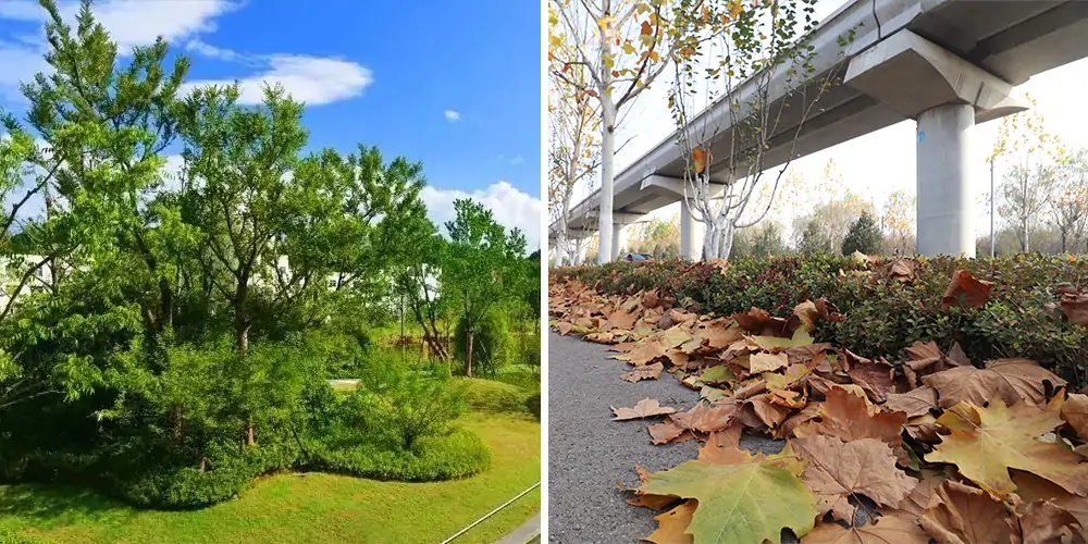 純電動樹葉收集車_多功能樹葉收集車_吸樹葉的機器_掃樹葉神器
內(nèi)容