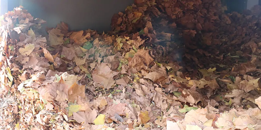 純電動(dòng)樹(shù)葉收集車(chē)_多功能樹(shù)葉收集車(chē)_吸樹(shù)葉的機(jī)器_掃樹(shù)葉神器