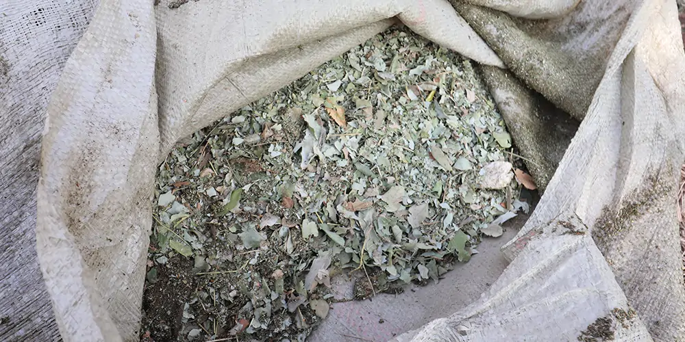 吸入式樹(shù)葉收集車(chē) 電動(dòng)三輪車(chē)樹(shù)葉收集器 樹(shù)葉收集器車(chē) 三輪樹(shù)葉收集車(chē) 林場(chǎng)專用樹(shù)葉收集車(chē)