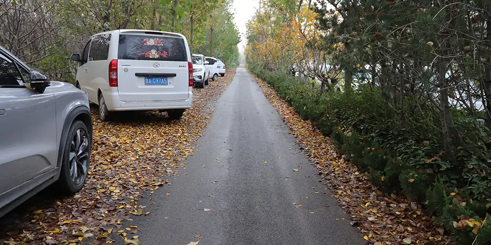 純電動(dòng)樹葉收集車,樹葉收集車,落葉收集車,電動(dòng)落葉收集車